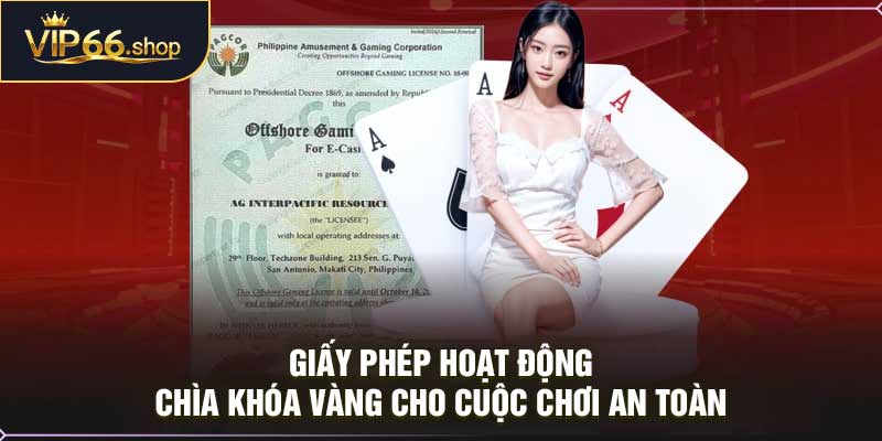 Giấy Phép Hoạt Động VIP66